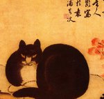 Portrait de l'auteure en chat littéraire