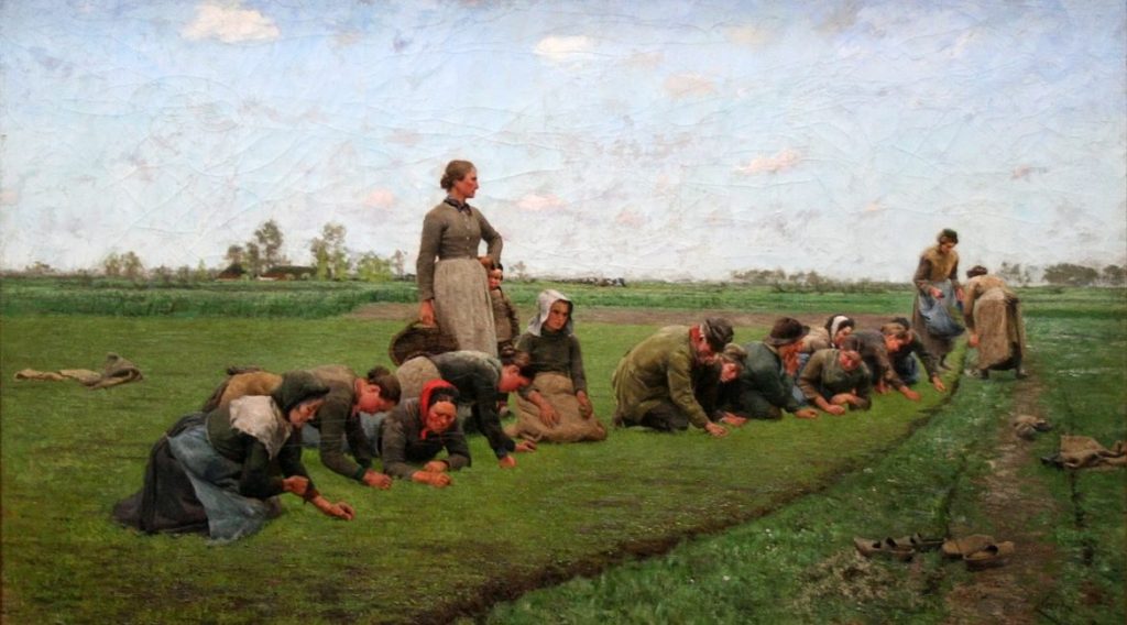 Tableau du 19e siècle représentant des femmes et des enfants en train de désherber à genoux un champ de lin 